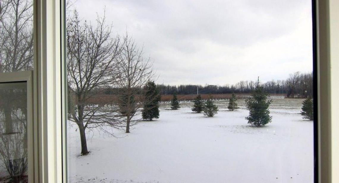 Cobblestone Bed And Breakfast Niagara-on-the-Lake Esterno foto
