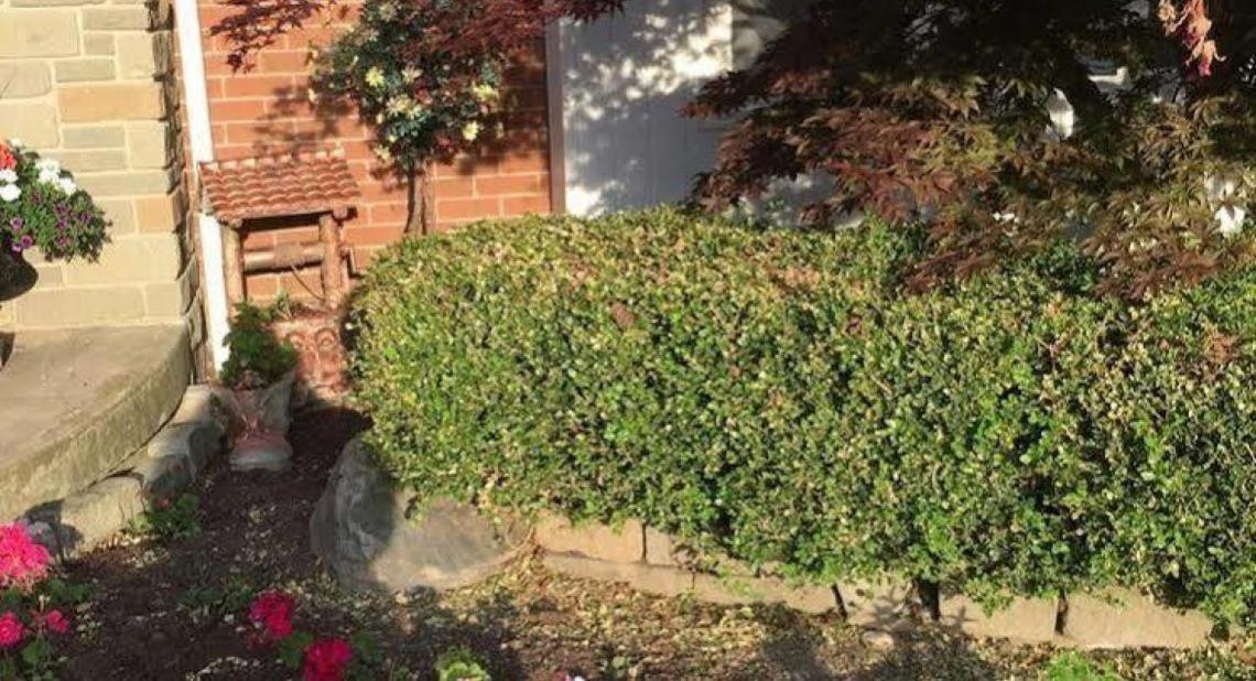 Cobblestone Bed And Breakfast Niagara-on-the-Lake Esterno foto